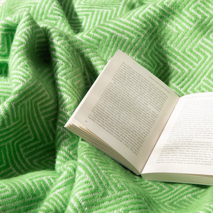 Open book on a green textured blanket