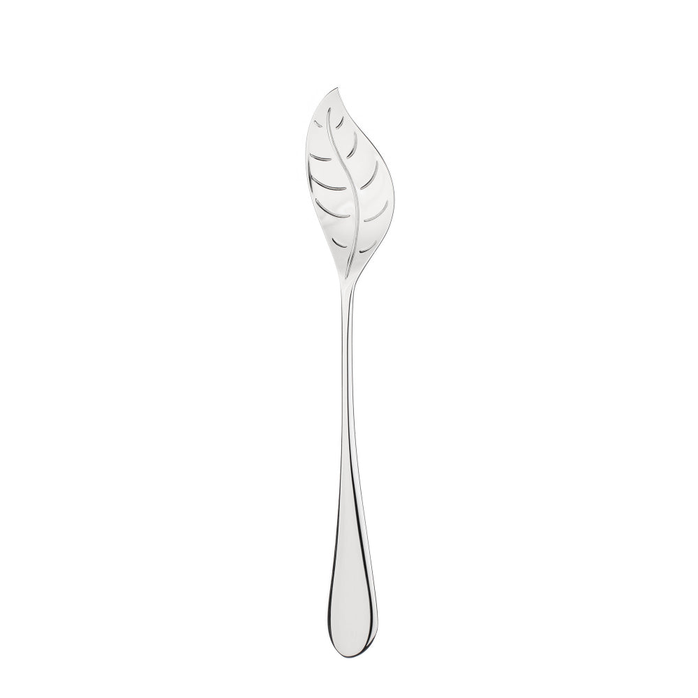 Silver spoon with leaf-shaped bowl on a white background