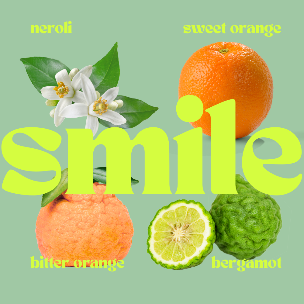 Fruits and flowers with the word 'smile' on a green background the fragrance notes in the airo smile candle