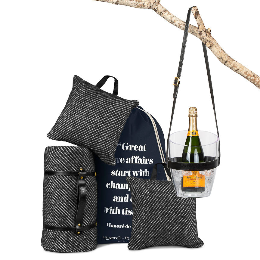 Collection of picnic accessories including a blanket, backpack, and bottle holder with champagne on a white background.