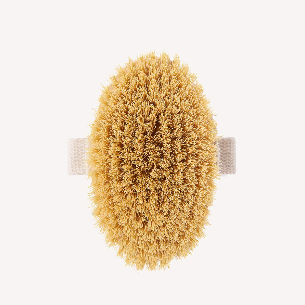 Natural brown scrubber with a white handle on a white background